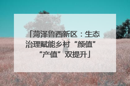 菏泽鲁西新区：生态治理赋能乡村“颜值”“产值”双提升