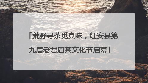 荒野寻茶觅真味，红安县第九届老君眉茶文化节启幕