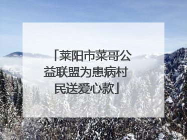 莱阳市菜哥公益联盟为患病村民送爱心款