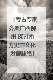 考古专家齐聚广西柳州 探讨南方史前文化发展脉络