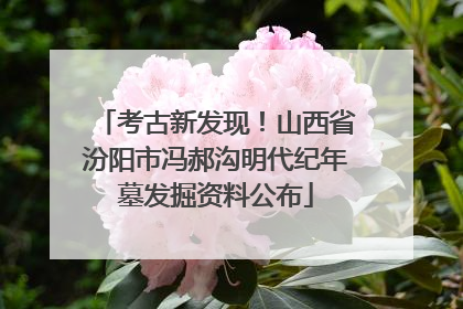 考古新发现！山西省汾阳市冯郝沟明代纪年墓发掘资料公布