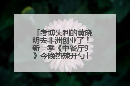 考博失利的黄晓明去非洲创业了！新一季《中餐厅9》今晚热辣开勺