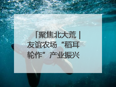 聚焦北大荒｜友谊农场“稻耳轮作”产业振兴“花开两朵”