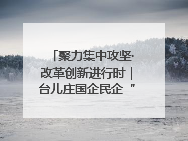 聚力集中攻坚·改革创新进行时｜台儿庄国企民企“联姻”记