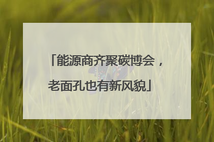 能源商齐聚碳博会，老面孔也有新风貌