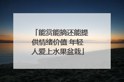 能赏能摘还能提供情绪价值 年轻人爱上水果盆栽