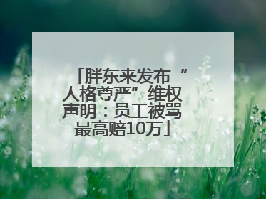 胖东来发布“人格尊严”维权声明：员工被骂最高赔10万