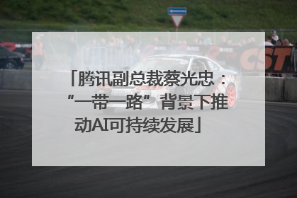腾讯副总裁蔡光忠：“一带一路”背景下推动AI可持续发展