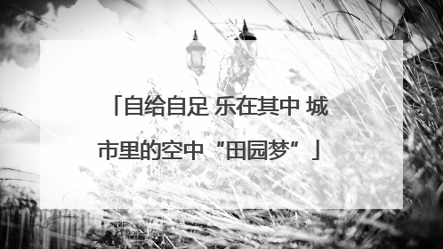 自给自足 乐在其中 城市里的空中“田园梦”