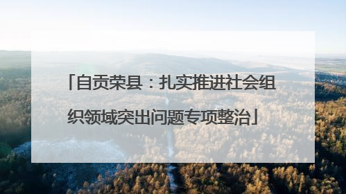 自贡荣县：扎实推进社会组织领域突出问题专项整治