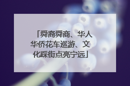 舜裔舜商、华人华侨花车巡游、文化踩街点亮宁远