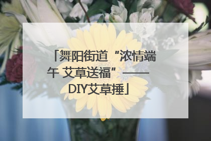 舞阳街道“浓情端午 艾草送福”——DIY艾草捶