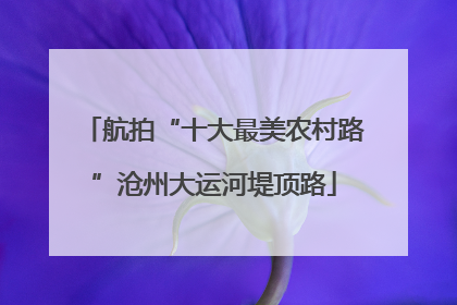 航拍“十大最美农村路”沧州大运河堤顶路