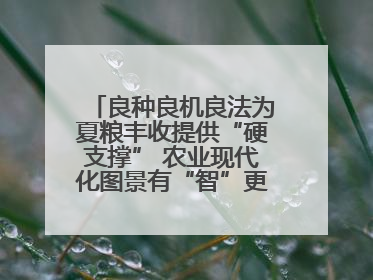 良种良机良法为夏粮丰收提供“硬支撑” 农业现代化图景有“智”更有“质”