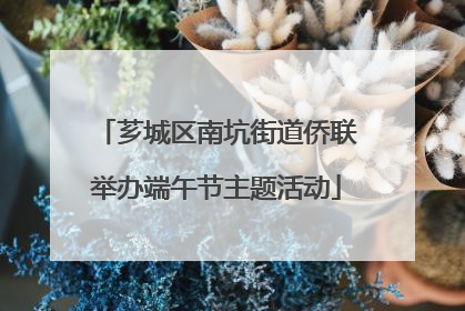 芗城区南坑街道侨联举办端午节主题活动