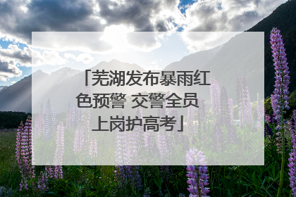 芜湖发布暴雨红色预警 交警全员上岗护高考