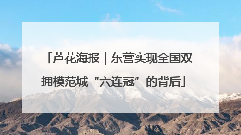 芦花海报｜东营实现全国双拥模范城“六连冠”的背后
