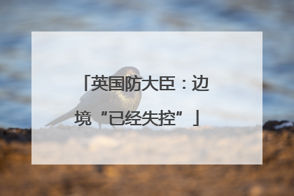 英国防大臣：边境“已经失控”