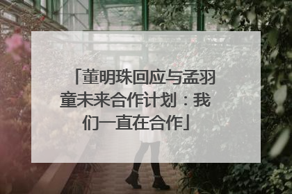 董明珠回应与孟羽童未来合作计划：我们一直在合作