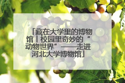 藏在大学里的博物馆丨校园里奇妙的“动物世界”——走进河北大学博物馆