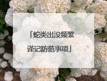 蛇类出没频繁 谨记防范事项