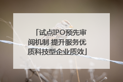 试点IPO预先审阅机制 提升服务优质科技型企业质效