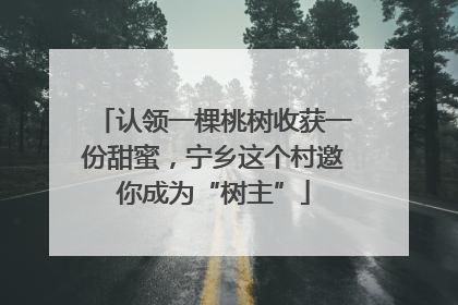 认领一棵桃树收获一份甜蜜，宁乡这个村邀你成为“树主”