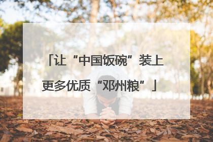 让“中国饭碗”装上更多优质“邓州粮”