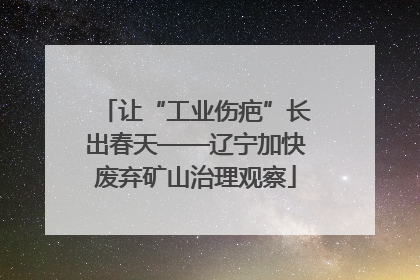 让“工业伤疤”长出春天——辽宁加快废弃矿山治理观察