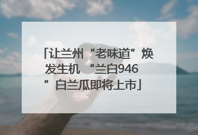 让兰州“老味道”焕发生机 “兰白946”白兰瓜即将上市