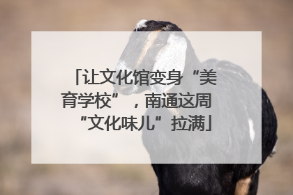 让文化馆变身“美育学校”，南通这周“文化味儿”拉满