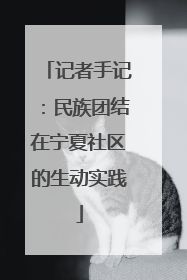 记者手记：民族团结在宁夏社区的生动实践