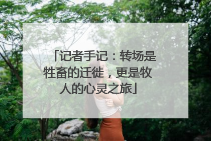 记者手记：转场是牲畜的迁徙，更是牧人的心灵之旅