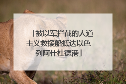 被以军拦截的人道主义救援船抵达以色列阿什杜德港