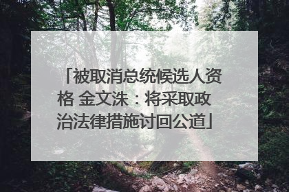 被取消总统候选人资格 金文洙：将采取政治法律措施讨回公道