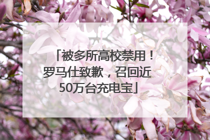 被多所高校禁用！罗马仕致歉，召回近50万台充电宝