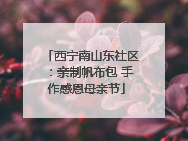 西宁南山东社区：亲制帆布包 手作感恩母亲节