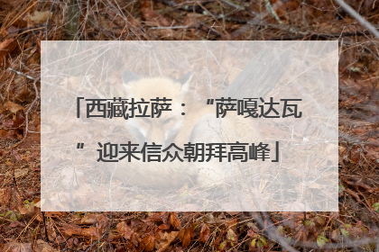 西藏拉萨：“萨嘎达瓦”迎来信众朝拜高峰