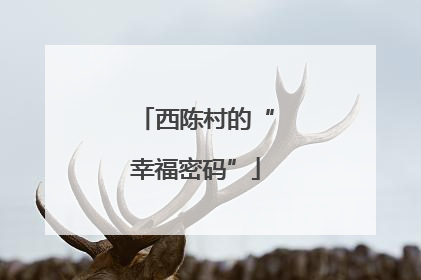 西陈村的“幸福密码”