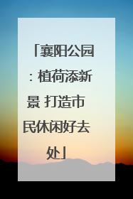 襄阳公园：植荷添新景 打造市民休闲好去处