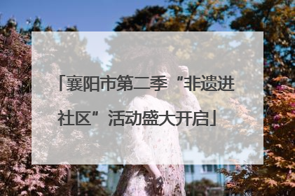 襄阳市第二季“非遗进社区”活动盛大开启