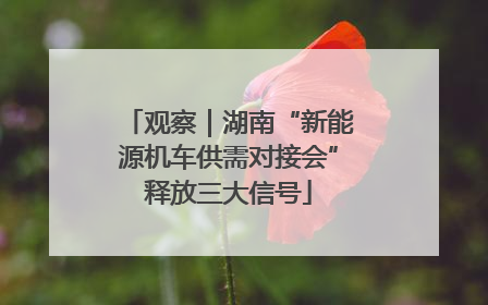 观察｜湖南“新能源机车供需对接会”释放三大信号