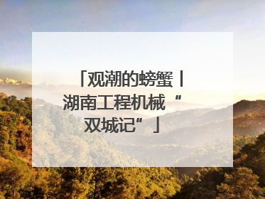 观潮的螃蟹丨湖南工程机械“双城记”