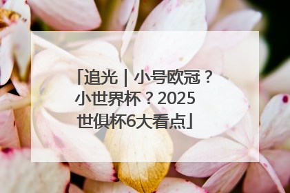 追光｜小号欧冠？小世界杯？2025世俱杯6大看点