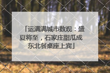 运满满城市数观：盛夏将至，石家庄甜瓜成东北餐桌座上宾
