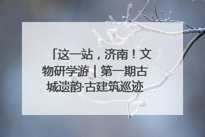这一站，济南！文物研学游｜第一期古城遗韵·古建筑巡迹之旅圆满结束