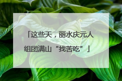 这些天，丽水庆元人组团满山“找苦吃”