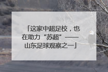 这家中超足校，也在助力“苏超”——山东足球观察之一