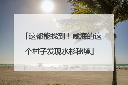 这都能找到！威海的这个村子发现水杉秘境