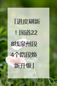 进度刷新！国道228线泉州段4个路段焕新升级